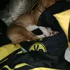 michaelwacker0711 - @michaelwacker0711 - TikTok