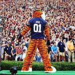 Michael Wade - @wadeeventphoto - Instagram