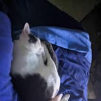 Michael Wade - Facebook