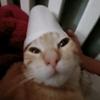 MichaelWaffles - @michaelmaffles - TikTok