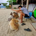 Michael Wage - @mickwage - Instagram