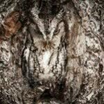 Michael Waiden - @michaelwaiden - Instagram