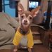 Michael Waldron - Facebook