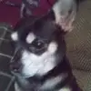 Michael Waldron - @michael.waldron1 - TikTok