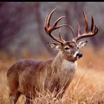 michael - @michael_waldrop03 - Instagram
