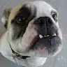 Michael Walla - @bmwalla - TikTok