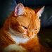 Michael Wallace - Facebook