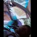 Michael Wallace - Facebook