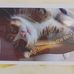 Michael Wallace - Facebook