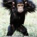 Michael Wallmann - Facebook