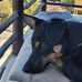Michael Wampler - Facebook