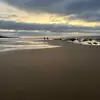Michael - @michael.wang10 - TikTok
