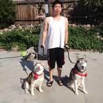 Michael Wang - @michael36604 - Instagram