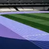 michael wang - @michael.wang35 - TikTok