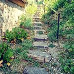 Michael Waniek - @michaelwaniek.mw - Instagram