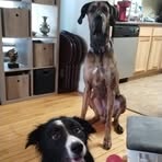 Michael Wanzek - Facebook