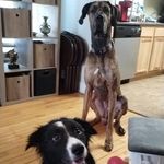 Michael Wanzek - @michael.wanzek.7 - Instagram