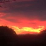 Michael Wardlaw - @m_wardlaw - Instagram