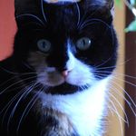 Michael Warnecke - @michael.warnecke - Instagram