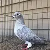 Michael Warnecke - @michaelwarnecke22 - TikTok