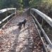 Mike Warnock - Facebook
