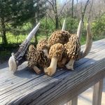 Michael Weakley - @mictoad - Instagram