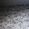 Michael Webb - @michael.webb32 - TikTok