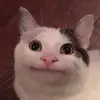 MichaelWee - @michael.li27 - TikTok