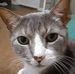 Michael Weeks - Facebook
