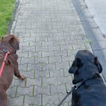 Michael Wegmann - @michaweg170784 - Instagram