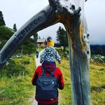Michael Weidmann - @m.weidm - Instagram