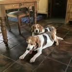 Michael Weinert - Facebook
