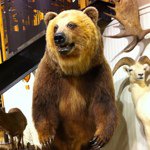 Michael Weinreb - @mweinreb - Instagram