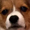 michaelspamaccwelcome - @michaelspamaccwelcome - TikTok