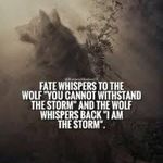 Michael Weldon - @michael.weldon.901 - Instagram
