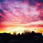Michael welp - @ironmikelandscapes - Instagram