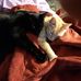 Michael Welser - Facebook
