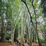 Michael Welser - @vreshnaar - Instagram