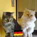 Micha Wenderoth - Facebook