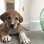 Michael Wenderoth - @wenderothmichael - Instagram