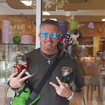Michael Wenk - @schatzispinner - Instagram