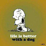 Michael Wenk - @ichthys413 - Instagram