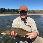 Michael Wenkstern - @michaelwenkstern - Instagram