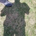 Michael Wenke - @mwenke378 - Instagram