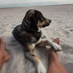 Michael Wenning - @michaelwenning66 - Instagram