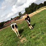 Michael Wenning - @michael__wenning - Instagram