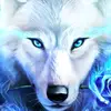 Michael Wentz - @mystic_wolf224 - TikTok