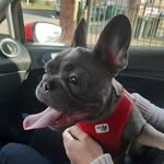 Michael Wentzel - @michael.wentzel.77 - Instagram