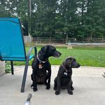Michael Werlinger - @michael.werlinger - Instagram