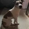 michaelwellinger - @michaelwellinger - TikTok